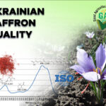 Публікація статті "Standard operating procedure of Ukrainian Saffron Cultivation According with Good Agricultural and Collection Practices to assure quality and traceability" у наукометричній базі Scopus та Web of Science